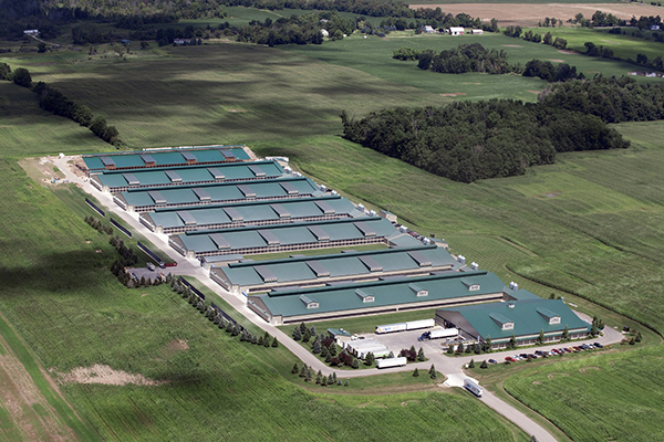 Shaoxing Conveyor Machine Inc.