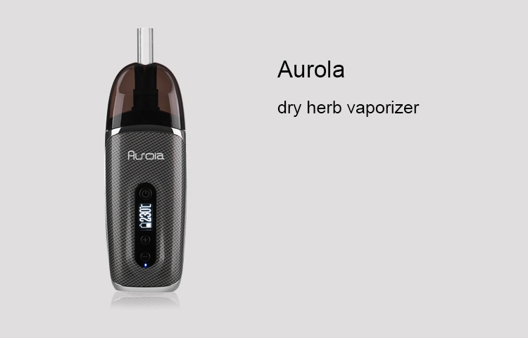 Wholesale Portable Electronic Cigarette Dry Herb Vaporizer Ceramic Atomizer with LED Display
