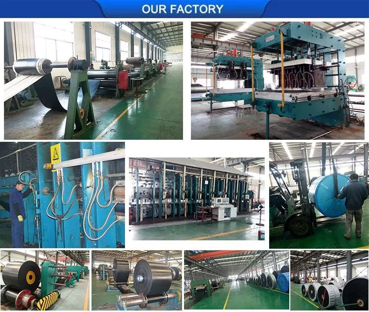 China Ep Multiply Rubber Conveyor Belt Customized Electric Multi-Use Plastic Chain Belt Conveyor Machine for Bottles