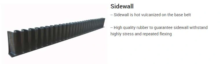 DJ II Type Series Corrugated Bucket Elevator Steep Angle Steep Sidewall Belt Conveyor
