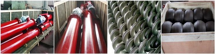 Hot CE Approved Energy Saving Screw Tube Tubular Auger China Spiral Conveyor