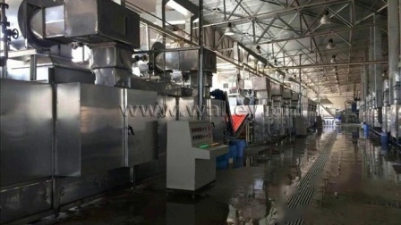 China Mesh Belt Conveyor Dryer Vegetable Carrot Drying Machine