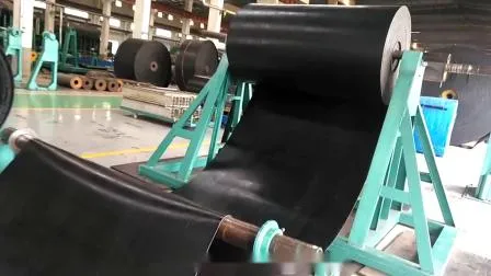 Polyester Sludge Dewatering Reversible Belt Conveyor