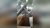 U-Trough Screw Conveyor